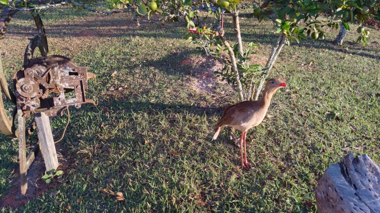 Pouso Da Siriema - Villa Bizuca Tiradentes Ngoại thất bức ảnh